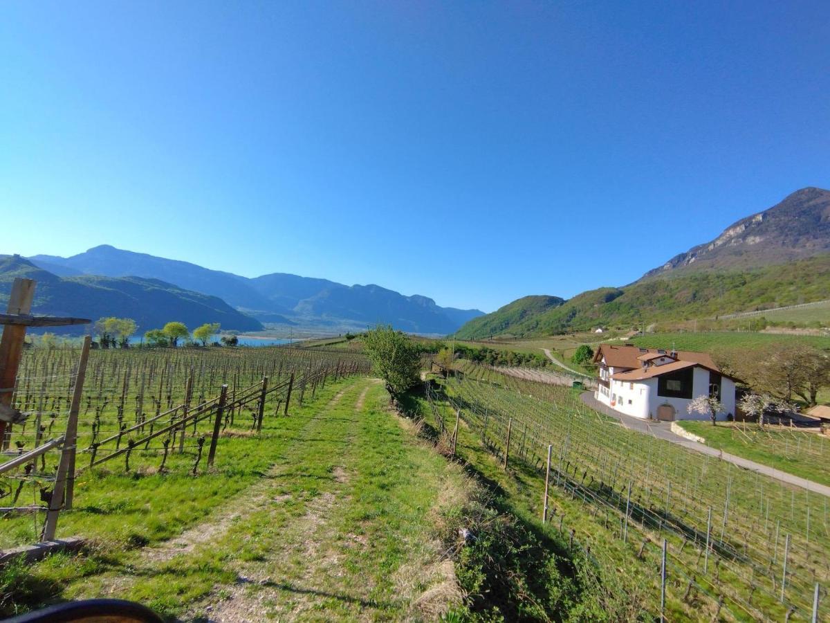 Hotel Lambrechtshof Appiano Sulla Strada Del Vino Esterno foto